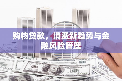 兰西购物贷款，消费新趋势与金融风险管理