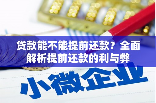 兰西贷款能不能提前还款？全面解析提前还款的利与弊