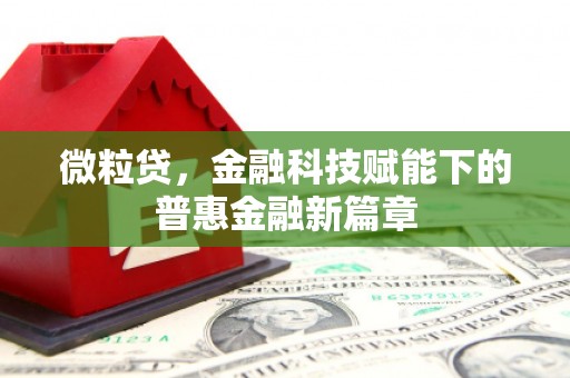 兰西微粒贷，金融科技赋能下的普惠金融新篇章