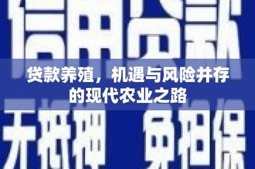 兰西贷款养殖，机遇与风险并存的现代农业之路