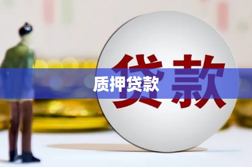 兰西质押贷款