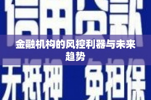 兰西金融机构的风控利器与未来趋势