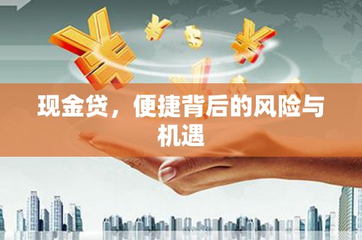 兰西现金贷，便捷背后的风险与机遇
