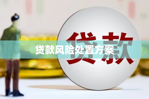 兰西贷款风险处置方案