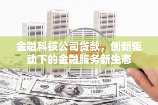 兰西金融科技公司贷款，创新驱动下的金融服务新生态