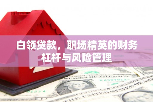 兰西白领贷款，职场精英的财务杠杆与风险管理