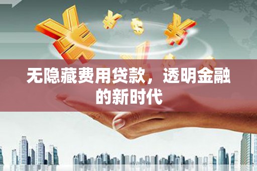 兰西无隐藏费用贷款，透明金融的新时代