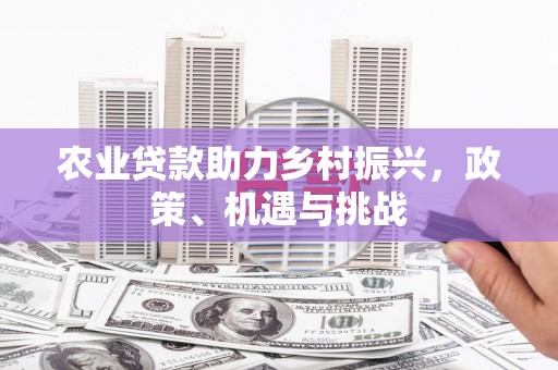 兰西农业贷款助力乡村振兴，政策、机遇与挑战