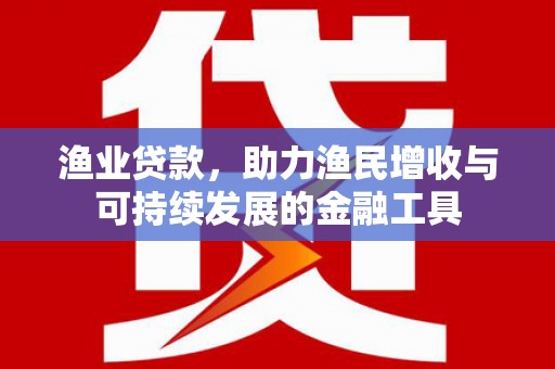 兰西渔业贷款，助力渔民增收与可持续发展的金融工具