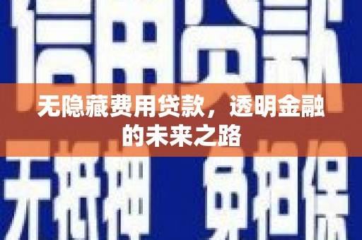 兰西无隐藏费用贷款，透明金融的未来之路