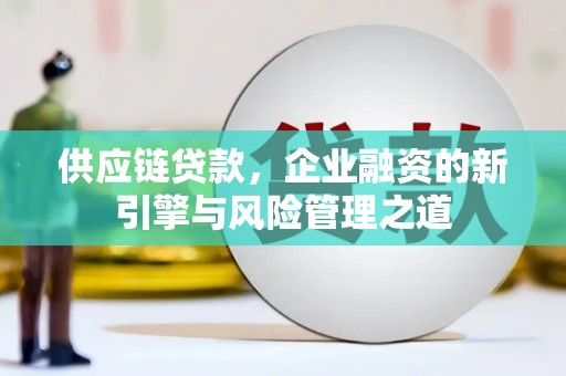 兰西供应链贷款，企业融资的新引擎与风险管理之道