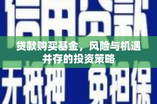 兰西贷款购买基金，风险与机遇并存的投资策略