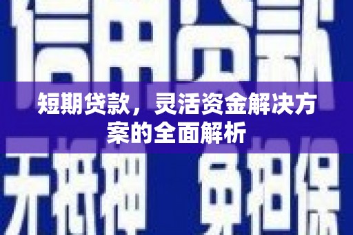 兰西短期贷款，灵活资金解决方案的全面解析