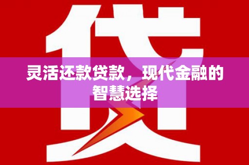 兰西灵活还款贷款，现代金融的智慧选择