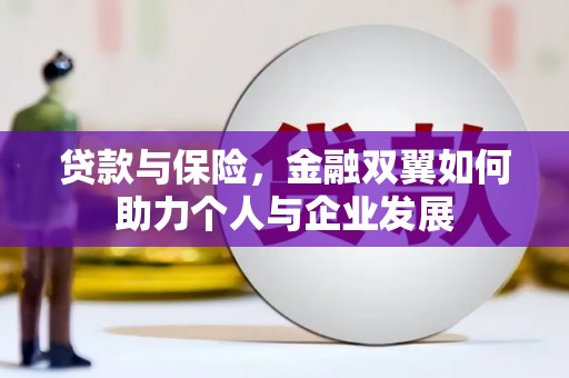 兰西贷款与保险，金融双翼如何助力个人与企业发展
