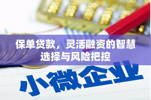 兰西保单贷款，灵活融资的智慧选择与风险把控
