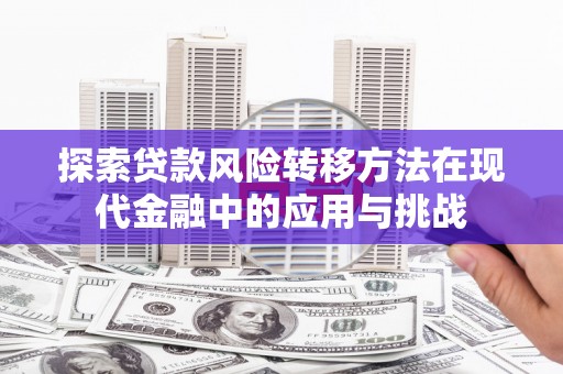兰西探索贷款风险转移方法在现代金融中的应用与挑战