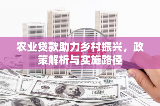 兰西农业贷款助力乡村振兴，政策解析与实施路径