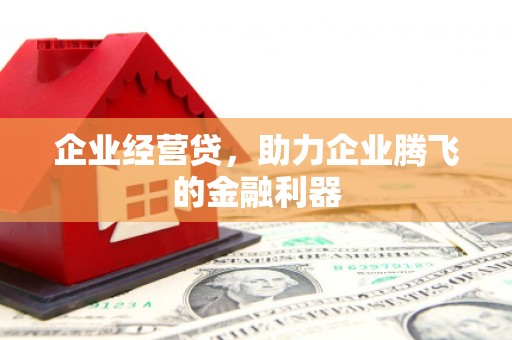 兰西企业经营贷，助力企业腾飞的金融利器