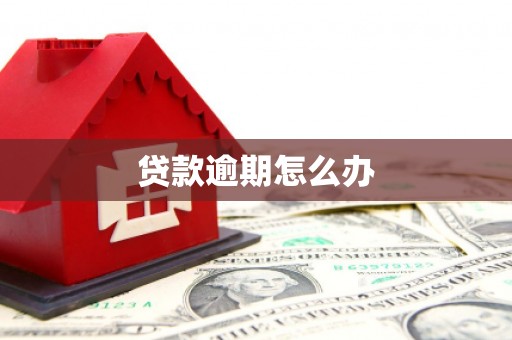 兰西贷款逾期怎么办