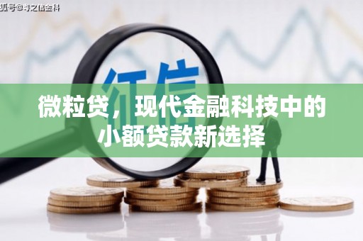 兰西微粒贷，现代金融科技中的小额贷款新选择