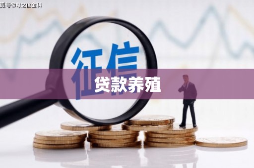 兰西贷款养殖