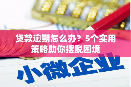 兰西贷款逾期怎么办？5个实用策略助你摆脱困境