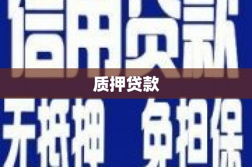 兰西质押贷款