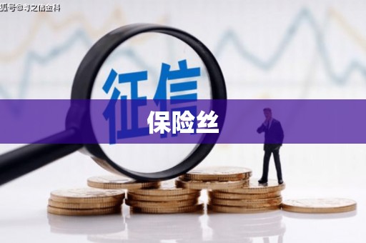 兰西保险丝