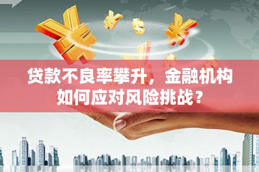 兰西贷款不良率攀升，金融机构如何应对风险挑战？