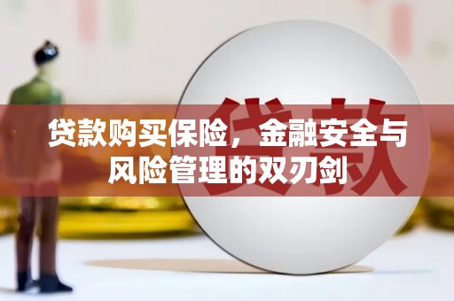 兰西贷款购买保险，金融安全与风险管理的双刃剑