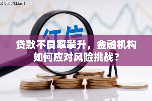 兰西贷款不良率攀升，金融机构如何应对风险挑战？