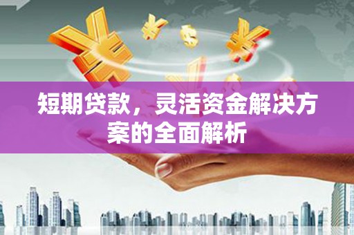 兰西短期贷款，灵活资金解决方案的全面解析