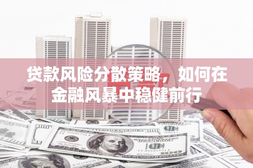 兰西贷款风险分散策略，如何在金融风暴中稳健前行