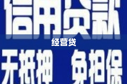 兰西经营贷