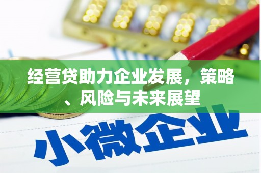 兰西经营贷助力企业发展，策略、风险与未来展望