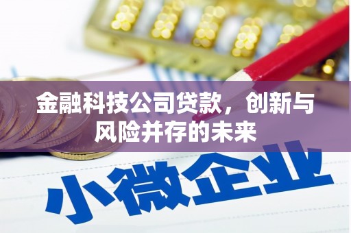 兰西金融科技公司贷款，创新与风险并存的未来