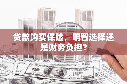 兰西贷款购买保险，明智选择还是财务负担？