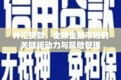 兰西外汇贷款，全球金融市场的关键驱动力与风险管理