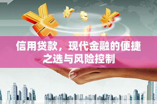 兰西信用贷款，现代金融的便捷之选与风险控制