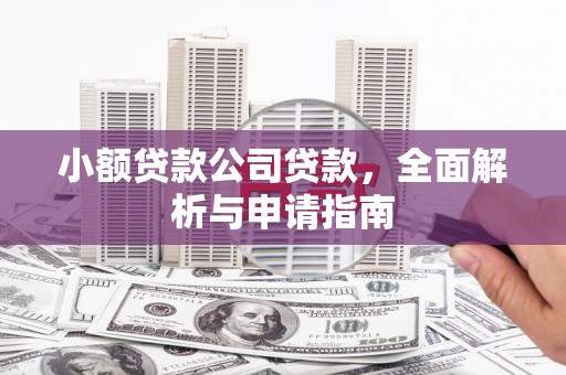 兰西小额贷款公司贷款，全面解析与申请指南