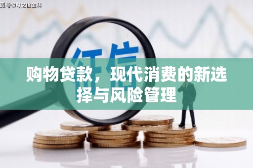 兰西购物贷款，现代消费的新选择与风险管理