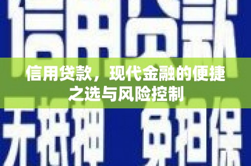 兰西信用贷款，现代金融的便捷之选与风险控制