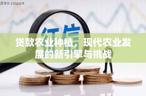 兰西贷款农业种植，现代农业发展的新引擎与挑战