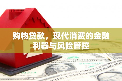 兰西购物贷款，现代消费的金融利器与风险管控