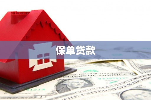 兰西保单贷款