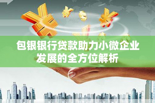 兰西包银银行贷款助力小微企业发展的全方位解析