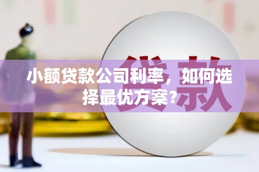 兰西小额贷款公司利率，如何选择最优方案？
