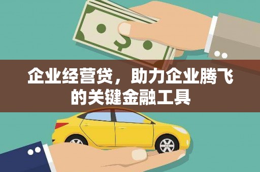 兰西企业经营贷，助力企业腾飞的关键金融工具