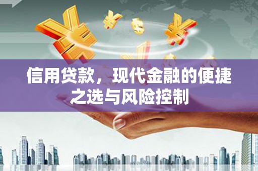 兰西信用贷款，现代金融的便捷之选与风险控制